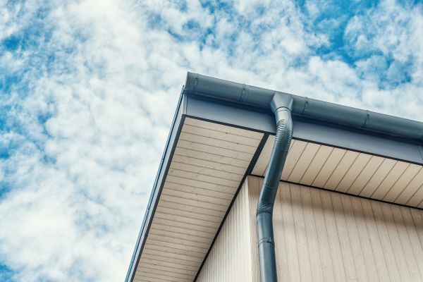 Gutter Fascia Repair in Davis