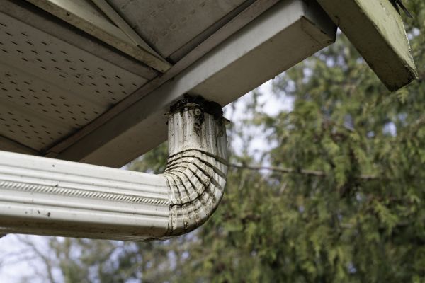 Cost of Roof Drain Replacement in Davis