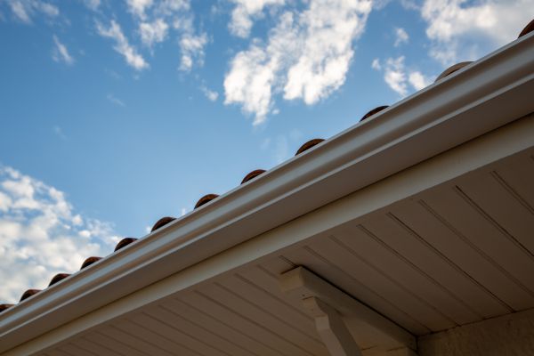 Cost of K Style Gutter Installation in Davis